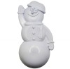 Variety: Snowman