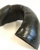 Buffalo Horn