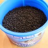 King British Catfish Pellet Food