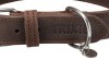 Trixie Rustic Greased Leather  Collar