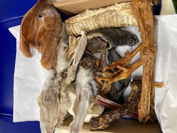 Christmas Treat Box for Dogs