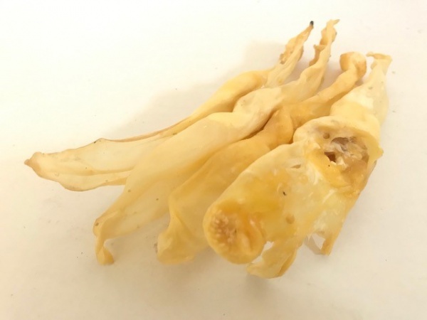 Dried Rabbit Ears (Natural) 100g