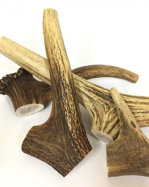 Antos Antler & Split Antler