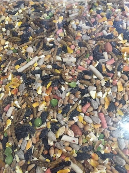 BMD Blend Wild Bird Mix