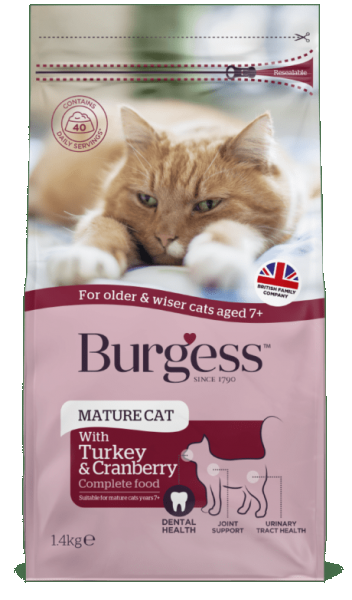 Burgess Mature Cat