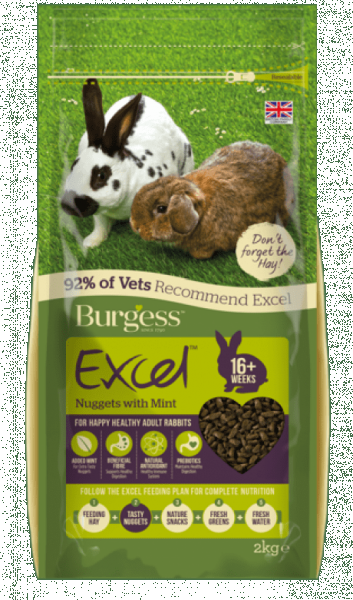 Excel Rabbit