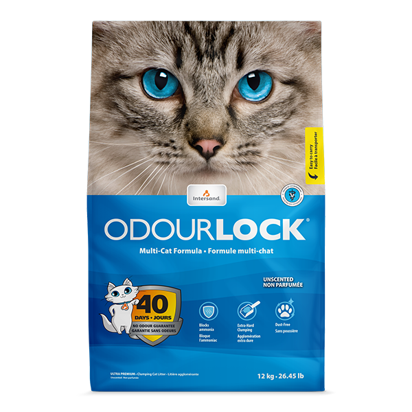 Intersand Odourlock Cat Litter