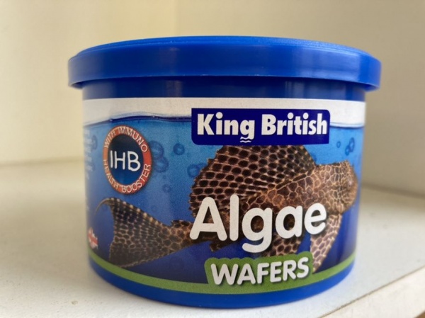 King British Algae Wafers