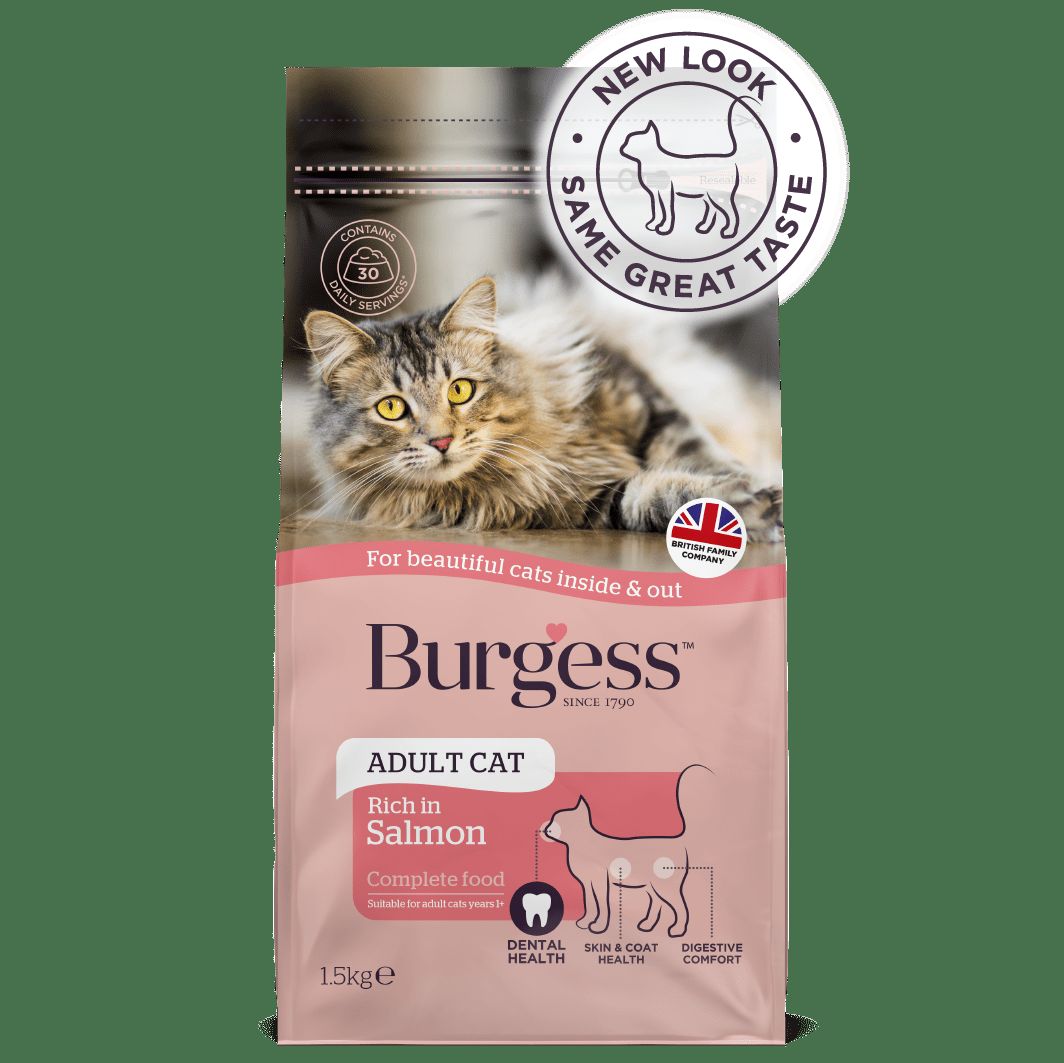 Burgess Adult Cat Rich in Salmon