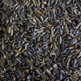 Niger Seed