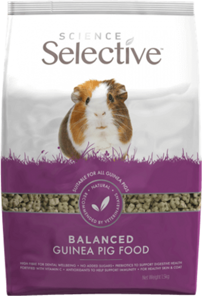 Science Selective Guinea Pig